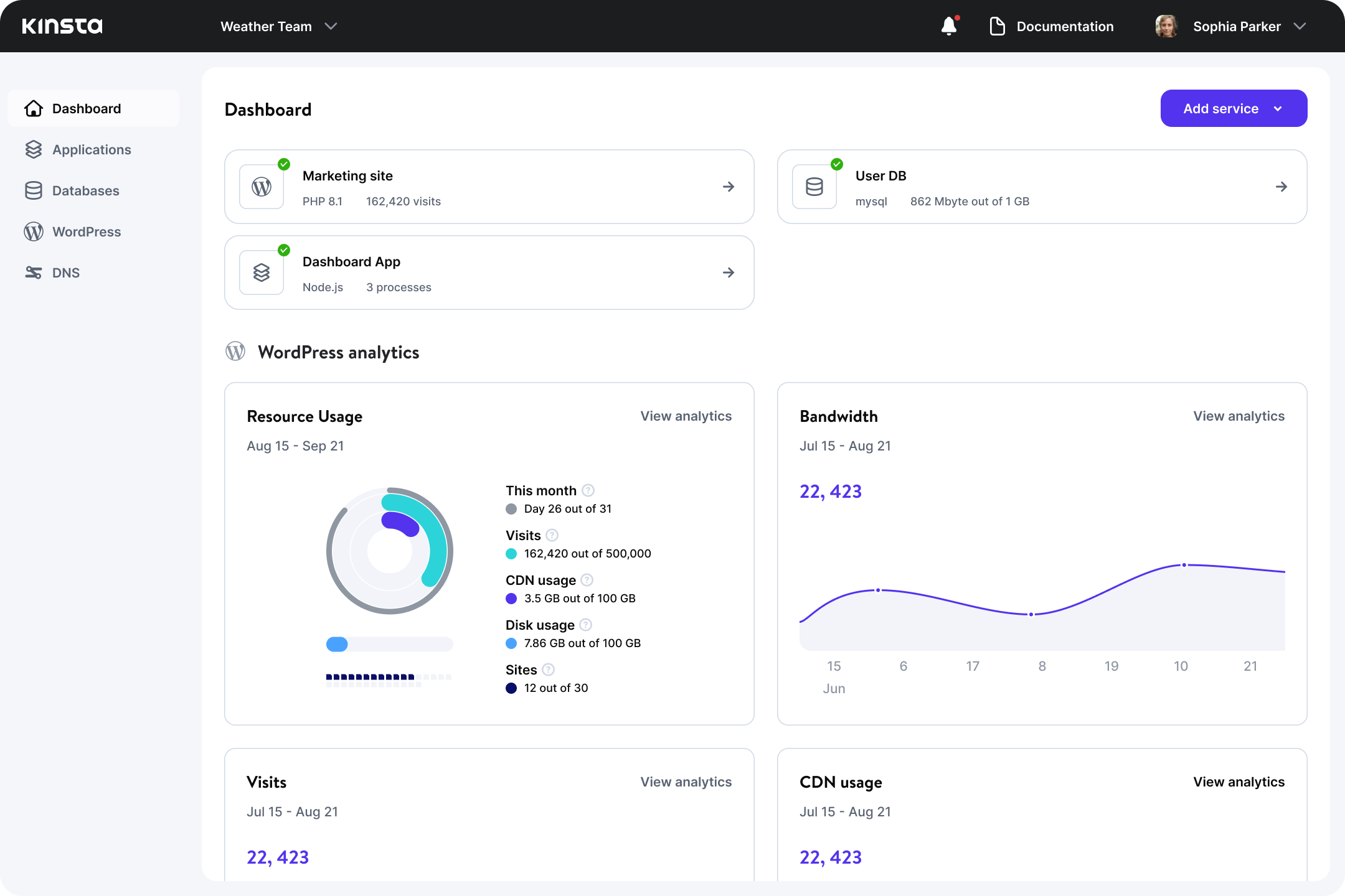 kinsta screenshot usage