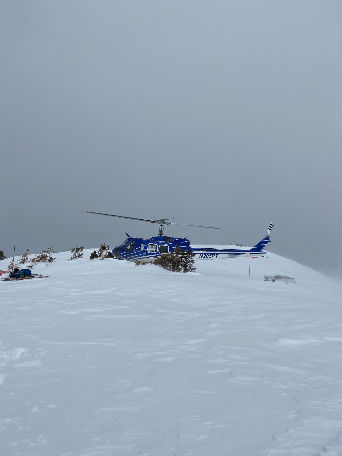 whiteout hel skiing day silverton