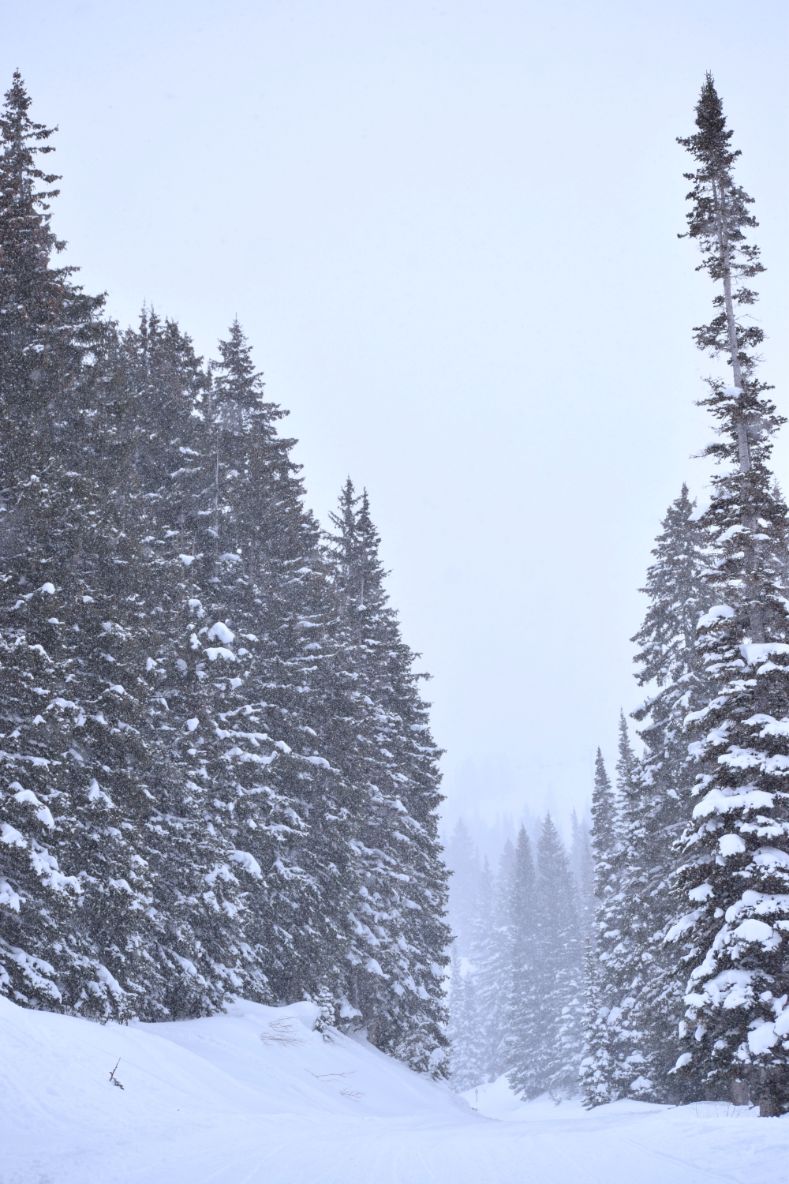 0 snowbird utah ski resort