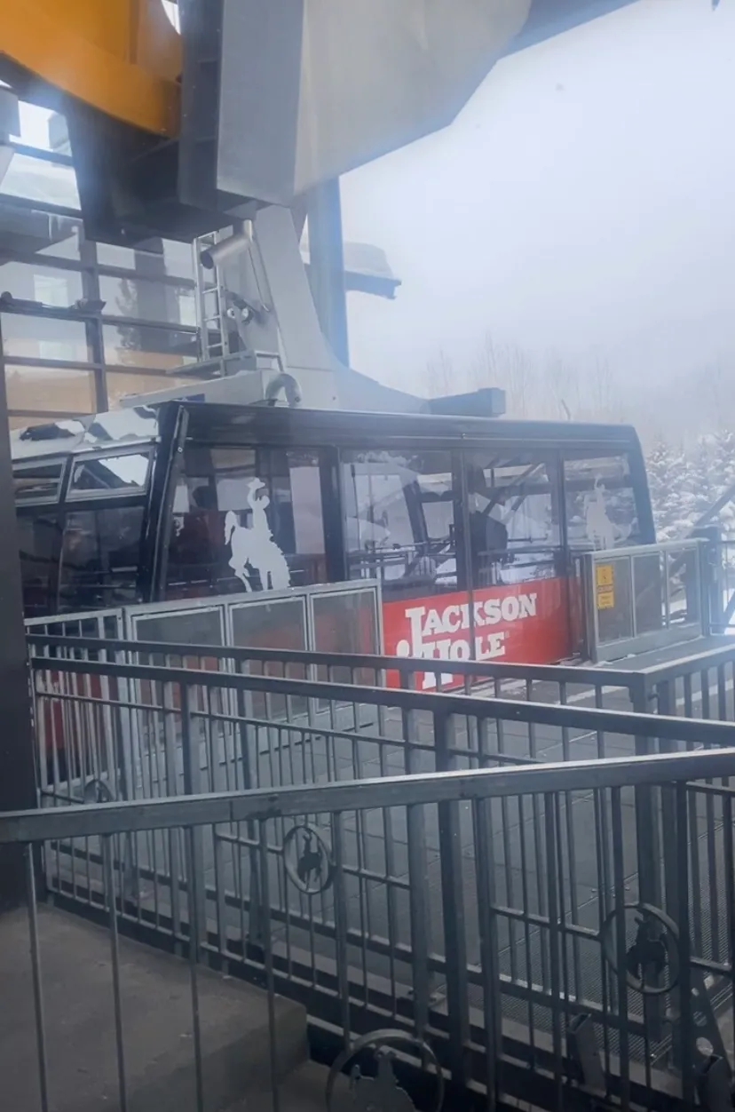 tram at jackson hole skiing