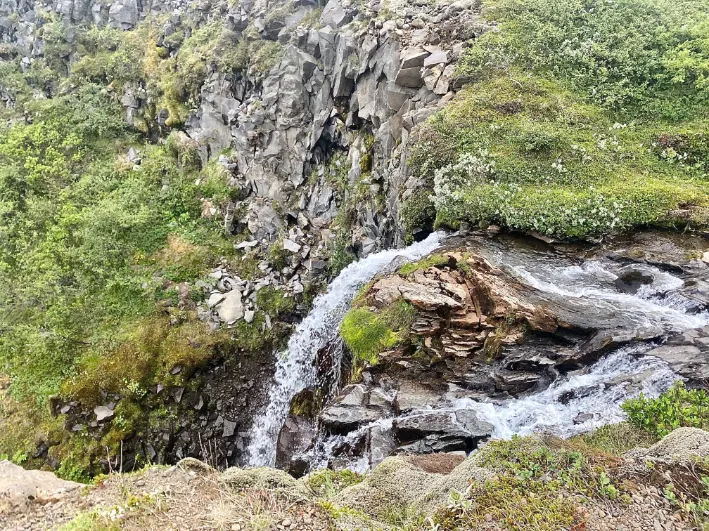 Svartifoss Svartifoss