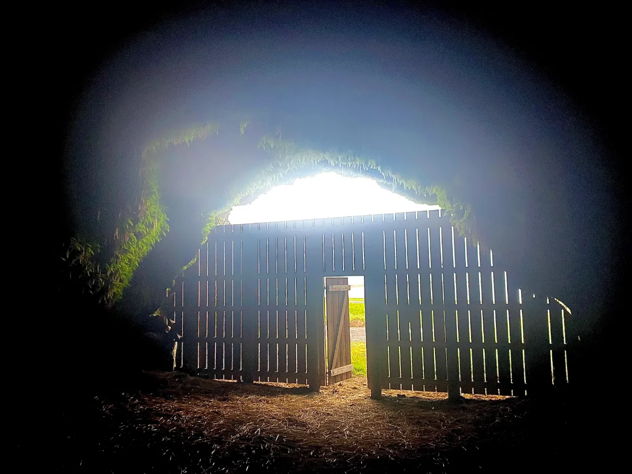 creepy cave off the ring road creepy cave off the ring road