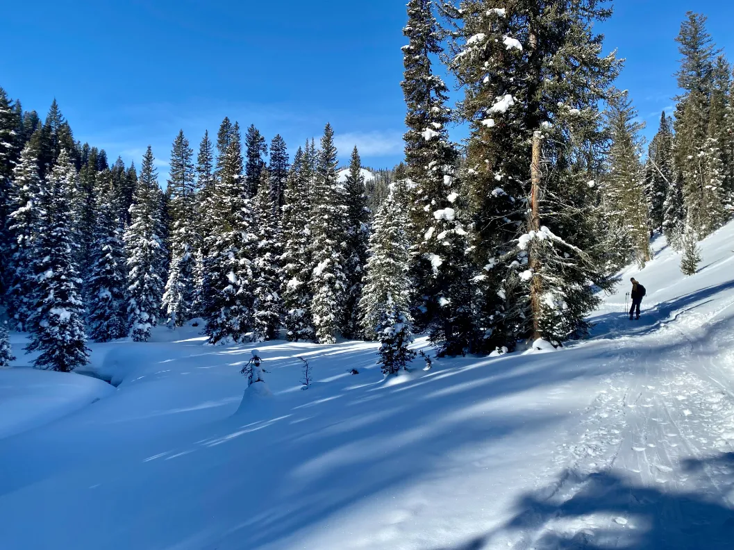 mail cabin creek at teton pass