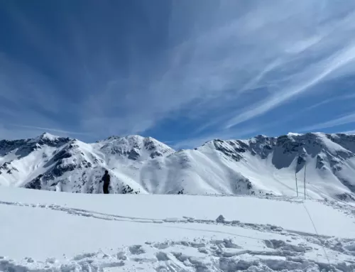 Incredible Guest Transportation to Ski Resorts for Your Wedding VIPs