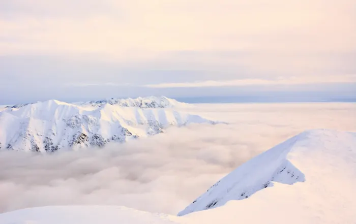 snowmad digital wedding venue marketing agency
