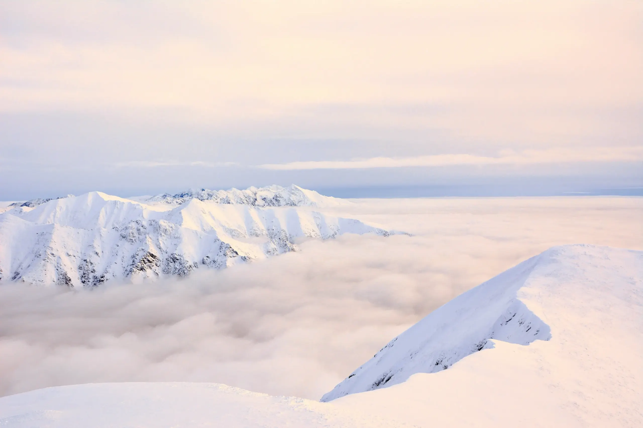 snowmad digital wedding venue marketing agency
